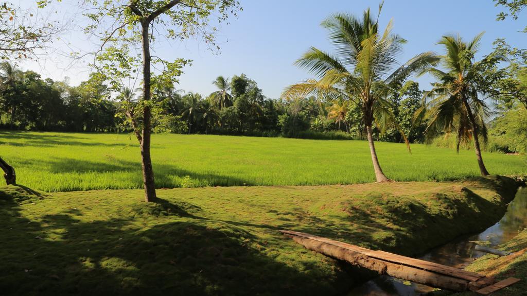 Miracle Resorts & Villas Polonnaruwa Exterior foto